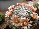 DSC08058