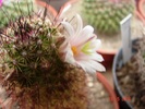 DSC08061