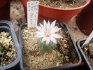 DSC08090