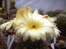 DSC08097