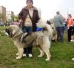 FENNIA 11 luni Expozitie Brasov