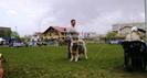 FENNIA 11 luni Expozitie Brasov
