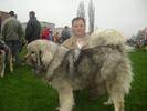 FENNIA 11 luni Expozitie Brasov