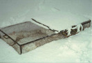 Finzi-Cage-Mobile02