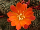 DSC08191