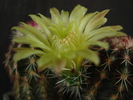 DSC08201