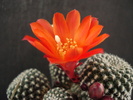 DSC08206