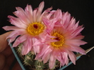 DSC08235