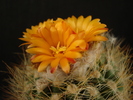 DSC08236