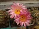 DSC08256