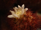 DSC08258
