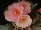 DSC08268