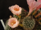 DSC08271