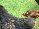 DSC07189