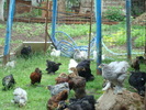 DSC07228