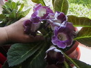 Picture 001