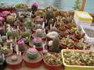 DSC08128