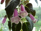 P1260238