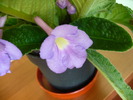 P1260243