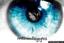 14032406_QQCWNWCDF