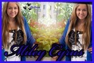 14033720_GTCTSUWWE