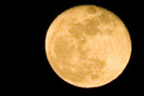 14036117_BHVHRRYPY