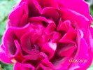 100_8217