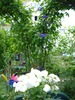 DSC03965