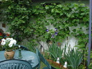 DSC03950