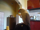 P1010836 LUCKY