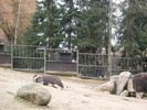 gradina zoologica aprilie dk 029