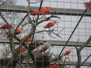 gradina zoologica aprilie dk 034
