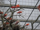 gradina zoologica aprilie dk 035