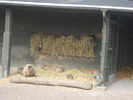 gradina zoologica aprilie dk 049