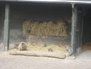 gradina zoologica aprilie dk 050