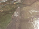 gradina zoologica aprilie dk 053