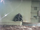 gradina zoologica aprilie dk 055