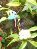 zoo telefon 053