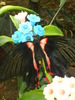 zoo telefon 055
