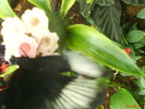 zoo telefon 056