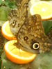 zoo telefon 058