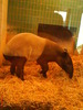 zoo telefon 064