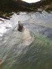 zoo telefon 072