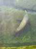 zoo telefon 073
