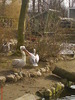 zoo telefon 076