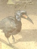 zoo telefon 084