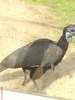 zoo telefon 085
