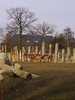 zoo telefon 091