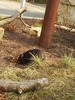 zoo telefon 092