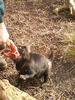 zoo telefon 094